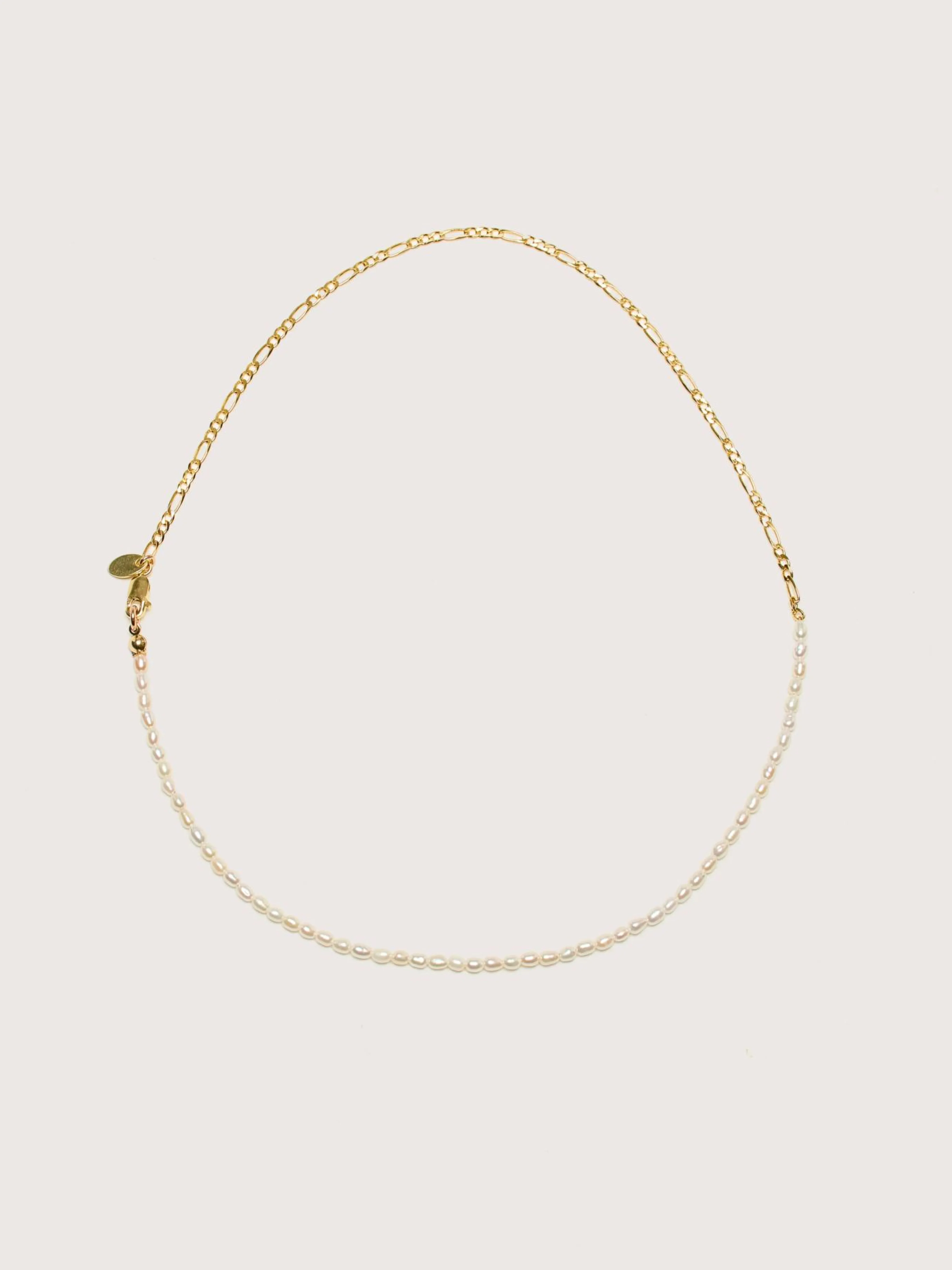 WOLF CIRCUS Mara Ketting